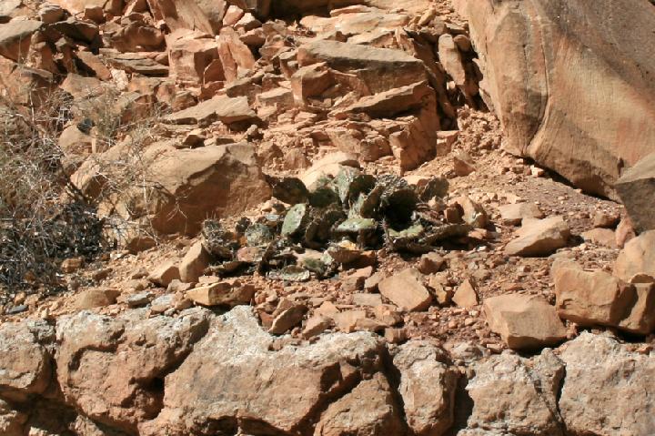 11-Vers Bryce Canyon 0020.JPG